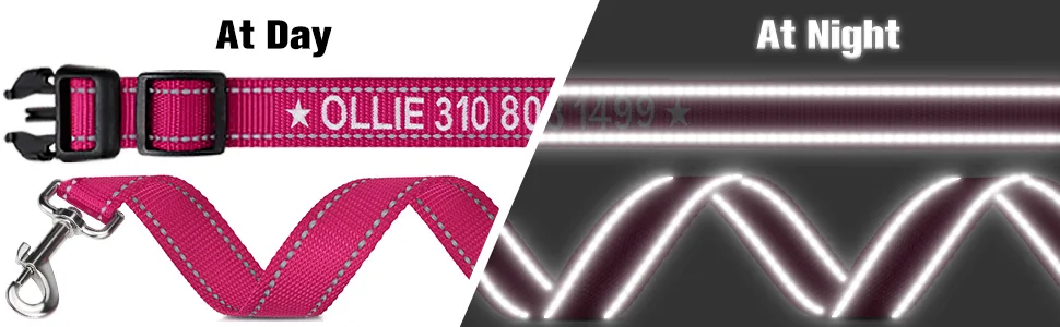 Tagme dog collar and leash personalizing reflective dog collar with 1.5m double -sided reflective dog leash for medium -sized hot pink m (1 Pack) hot pink set - Reflektierende Hundeleine