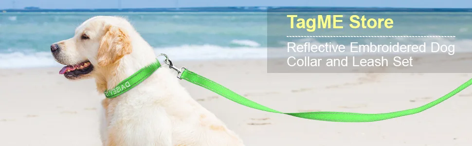 Tagme dog collar and leash personalizing reflective dog collar with 1.5m double -sided reflective dog leash for medium -sized green M (1 Pack) green set - Personalisierbar Hundehalsband Mit Hundeleine