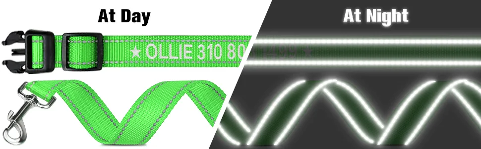 Tagme dog collar and leash personalizing reflective dog collar with 1.5m double -sided reflective dog leash for medium -sized green M (1 Pack) green set - Reflektierende Hundeleine