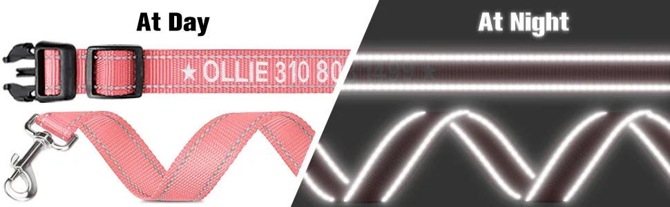 Tagme dog collar and leash personalized reflective dog collar with 1.5m double -sided reflective dog leash for medium -sized baby ora m (1 Pack) baby or - Reflektierende Hundeleine