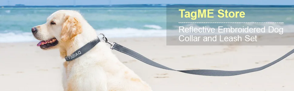 Tagme dog collar and leash personalizing reflective dog collar with 1.5m double -sided reflective dog leash for large dogs gray l (1 Pack) gray set - Personalisierbar Hundehalsband Mit Hundeleine
