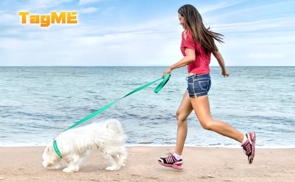 Tagme dog collar and leash personalized reflective dog collar with 1.5m double -sided reflective dog leash for medium -sized turquoise M (1 -pack) turquoise set - Hundehalsband und Leine