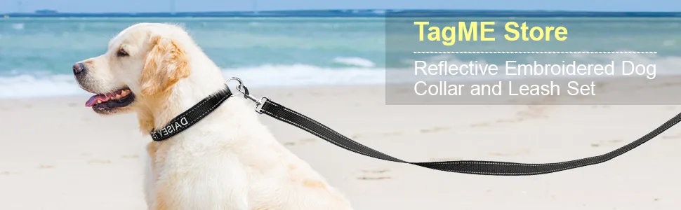 Tagme dog collar and leash personalizing reflective dog collar with 1.5m double -sided reflective dog leash for large dogs black l (1 Pack) black set - Personalisierbar Hundehalsband Mit Hundeleine