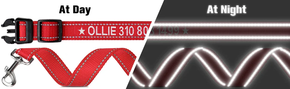 Tagme dog collar and leash personalizing reflective dog collar with 1.5m double -sided reflective dog leash for small red XS (1 -pack) red set - Reflektierende Hundeleine