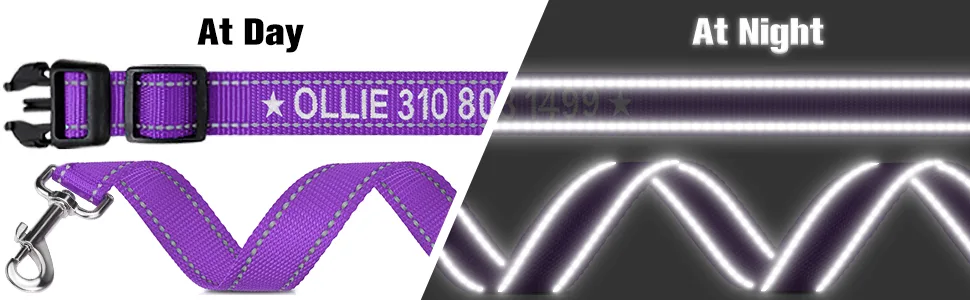 Tagme dog collar and leash personalizing reflective dog collar with 1.5m double -sided reflective dog leash for small purple s (1 Pack) purple set - Reflektierende Hundeleine