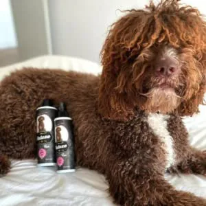 PETUXE Activator for dogs and water 300 ml - petuxe