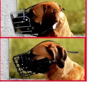 Dingo Gear rubberized metal muzzle for dog boxer bitch professional comfortable universal product for long walks S03043 boxer M - maulkorb