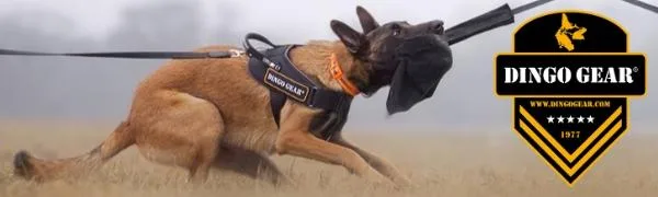 Dingo Gear rubberized metal muzzle for Malinois bitch Professional comfortable universal product for long walks S03047 Malinois M - Dingo Gear