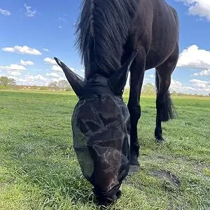 Labu Horse Repellenstift - fliegenschutz insektenschutz pferdehaube kopfschutz fliegenschutz gesichtschutz gegen mücken