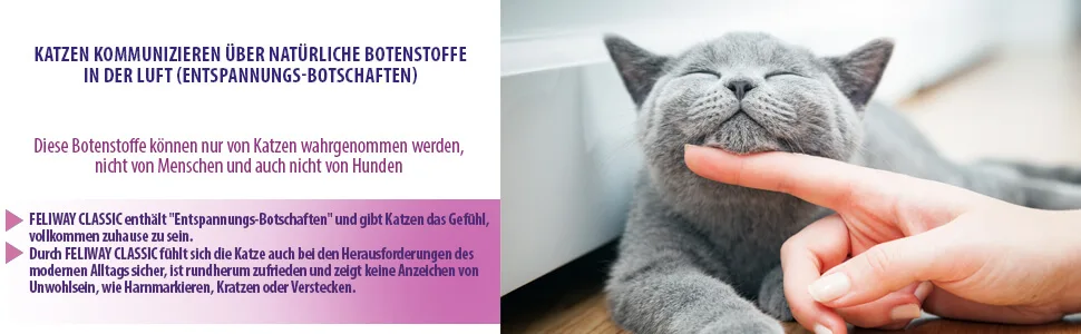 Feliway Classic Start Set Single - Katzen kommunizieren über natürliche Botenstoffe in der Luft