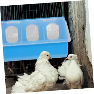 Doitool forage box for pigeons cage bird feeder feed container for pigeons for birds for birds chicken food rabb - product information 3