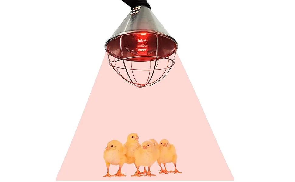 EIDER infrared heat lamp PROFI including bulb (bulb 150W already included) - heat lamp for animals - Waermelampe