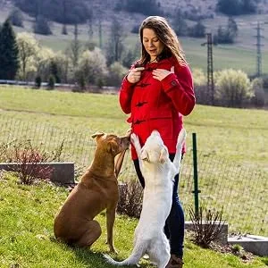 ITRIMAKA Pet Clicker trainer pet-clicker training device |Clicker tool for dog training-pet training clickers for dogs cats puppies birds horses.Practical design white B - Kumpel des pelzigen Begleiters
