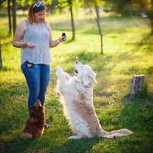 ITRIMAKA Pet Clicker trainer pet-clicker training device |Clicker tool for dog training-pet training clickers for dogs cats puppies birds horses.Practical design white B - Training der nächsten Stufe