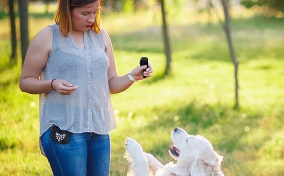 ITRIMAKA Pet Clicker trainer pet-clicker training device-cat training clicker |Puppy training made with you you can quickly achieve solid results in custody training rosa h - Hundetrainings-Clicker, Hunde-Clicker für das Training - Hundetrainings-Clicker - Langlebiger,