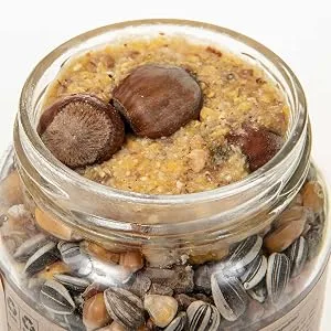 SIDCO Squirrel Food 1000 g Squirrel Peanut Butter Nuts Feed Mix Refill Jar 200 g (Pack of 5) - Eichhörnchenfutter