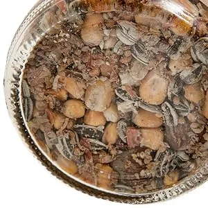 SIDCO Squirrel Food 1000 g Squirrel Peanut Butter Nuts Feed Mix Refill Jar 200 g (Pack of 5) - Eichhörnchenfutter