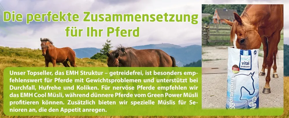 Eggersmann Structure Mix - Energy -reduced horse -sized horse with a high structure for an appetite horses - 25 kg sack structure Mix 25 kg (1 Pack) - ergänzungsfutter für pferde pellets sackware multi vitamine leckerlis