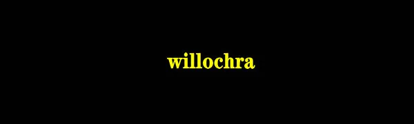 Safety Goggles Protective Blue Light Blocking Eyeglasses for Men Women 2 Pack (Black&Clear) - willochra