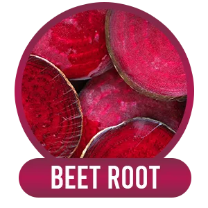 Angry Supplements Apple Cider Vinegar + Beet Root Capsules, Detox Pills, Nitric Oxide + Energy Booster (2-Bottles) - beet root