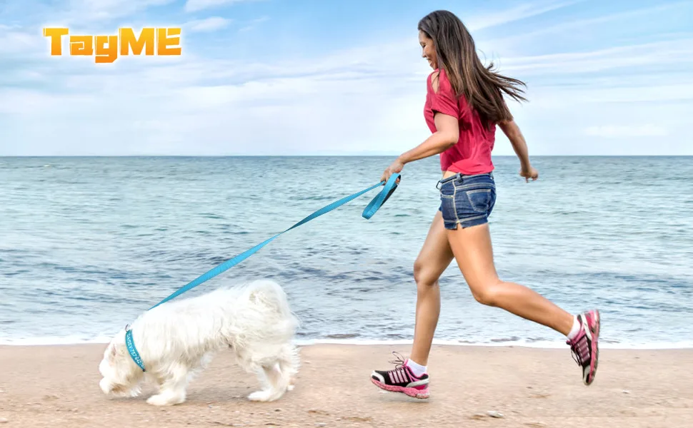 Tagme dog collar and leash personalized reflective dog collar with 1.5m double -sided reflective dog leash for large dogs sky blue l (1 -pack) sky blue set - Hundehalsband und Leine