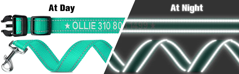 Tagme dog collar and leash personalized reflective dog collar with 1.5m double -sided reflective dog leash for small turquoise s (1 -pack) turquoise set - Reflektierende Hundeleine
