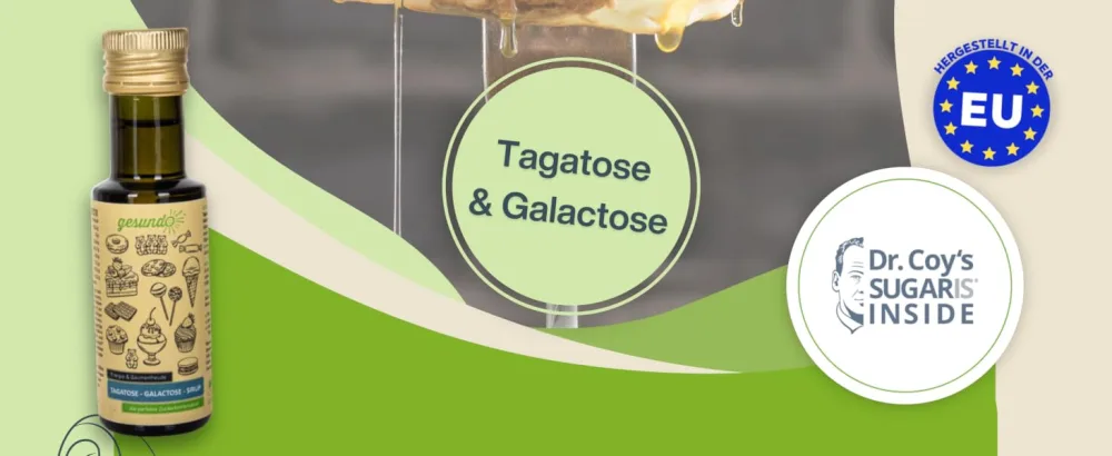 gesundo Tagatose Galactose Syrup - 100ml 100 ml - gesundo Tagatose-Galactose Sirup