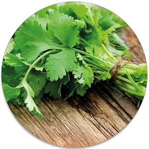 Bioprophyl Cilantro essence - 50ml qualitatively high -quality coriander essence - from young coriander plants - part of our expansion - Cilantro Strauß