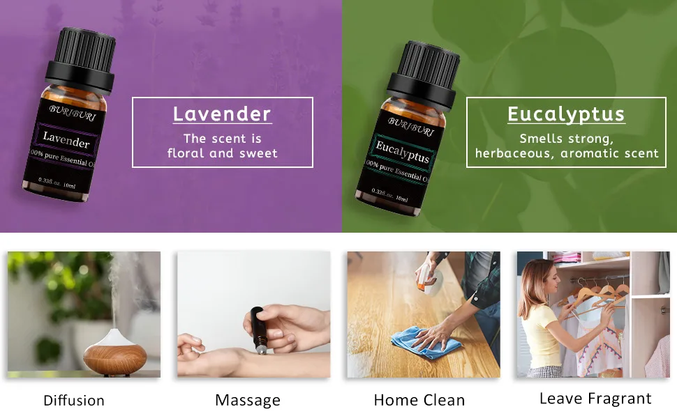 Lavender and Eucalyptus Essential Oil, 100% Pure, Undiluted, Natural, Organic Aromatherapy Essential Oils Gift Set, 10MLx2 Lavender+Eucalyptus - Lavender and Eucalyptus Essential Oil