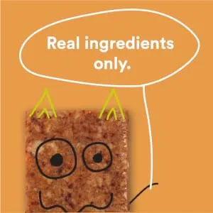RXBAR, RX Kids Protein Snack Bar, Peanut Butter Chocolate Chip, 1.16oz Bars, 30ct, New Taste and Texture - RX KIDS