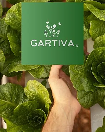 Gartiva 30x fly swatter mosquito scraper as fly catcher & fly trap against insects flies mosquitoes wasps - Garten