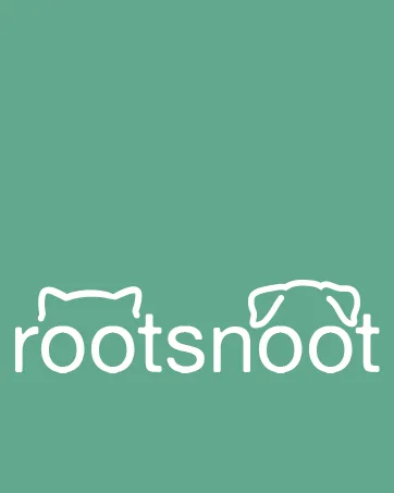 Rootnoot Frisbee for dogs |Soft and super stable |float |especially tooth - gentle |Pollutant free (Super Spar Set 2x Frisbee 2x Ball) - rootnsoot