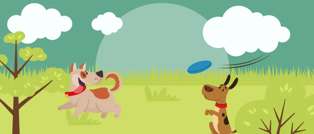 Rootnoot Frisbee for dogs |Soft and super stable |float |especially tooth - gentle |Pollutant free (Super Spar Set 2x Frisbee 2x Ball) - rootsnoot