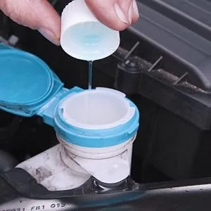 The Blue Wonder Liquid Professional Glass Cleaner concentrate (spring 1000 ml) |Cleans and protects glass surfaces and mirror surfaces |Very productive spring 1 l (1 Pack) - Liquid Pro