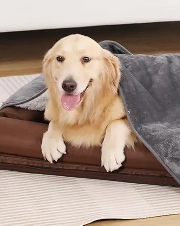 Pettom dog bathrobe microfiber dog towel quickly drying microfiber towel super absorbent comfortable and with adjustable straps for pets dogs and cats blue (m) m blue - Wasserdichte Hundedecke