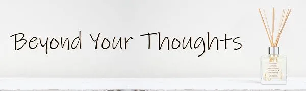 Beyond Your Thoughts Reed Diffuser Set, Home Fragrance Diffuser Lavender Essential Oil & Sticks Scented Diffuser 6.7oz (200ml) 6.7oz Lavender - beyond your thoughts