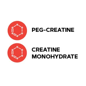 GNC AMP HCl 189, 120 Tablets 60 Servings (Pack of 1) - Includes PEG-creatine and creatine monohydrate