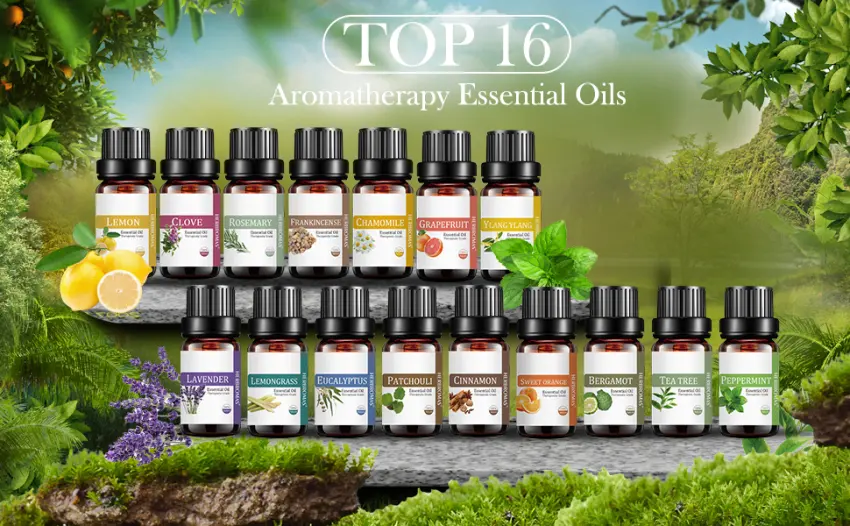 Essential Oil Set by HERBROMAS - Top 16 Natural Aromatherapy Essential Oils for Candle Making, DIY Soap Making, Diffusers, Humidifiers - Top 16 aromatherapy essential oils