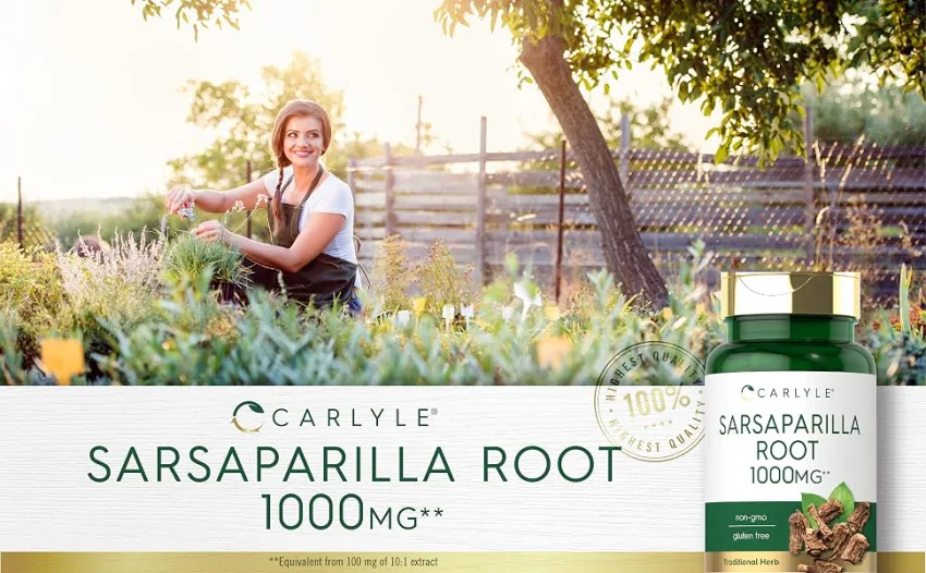 Sarsaparilla Root Capsules 1000mg | 120 Count | Non-GMO, Gluten Free Supplement | by Carlyle - sarsaparilla