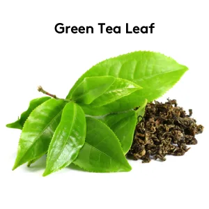 Daily Water Retention Pills for Kidney Cleanse & Swelling to Flush Out Excess Fluid & Waste - Green Tea