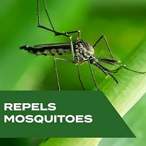 STEM for Mosquitoes: DEET Free Spray with Botanical Extracts; 4 fl. oz. Pack of 1 - Bugs