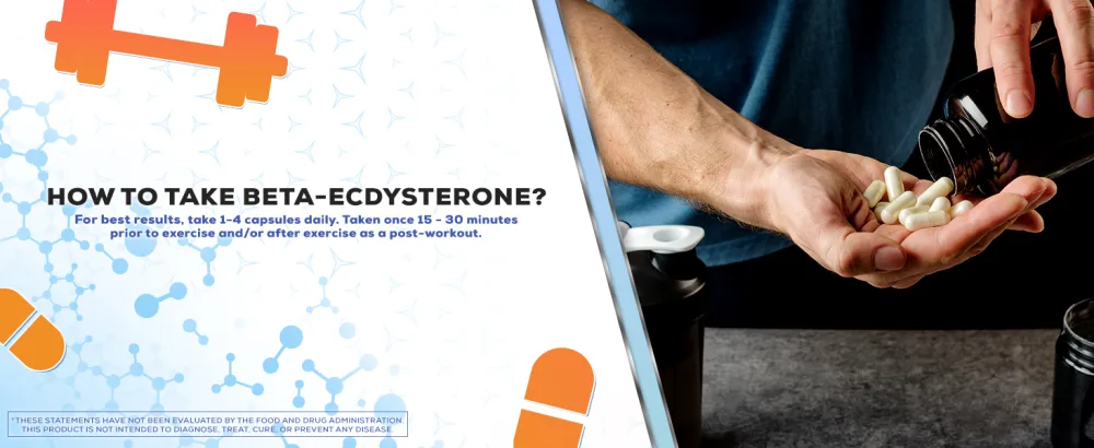 Beta-Ecdysterone Capsules - Lean Muscle Building & Strength Gains - 60 Count - Muscle Empire 60 Count (Pack of 1) - Beta-Ecdysterone Capsules Beta Ecdysterone Muscle Growth Supplement Strength