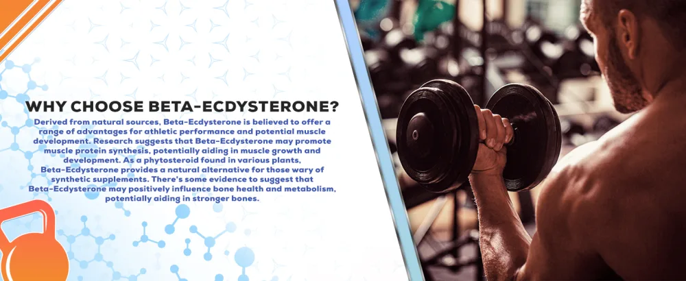 Beta-Ecdysterone Capsules - Lean Muscle Building & Strength Gains - 60 Count - Muscle Empire 60 Count (Pack of 1) - Beta-Ecdysterone Capsules Beta Ecdysterone Muscle Growth Supplement Strength