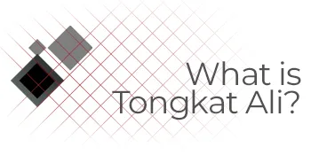 Tongkat Ali Extract Capsules | 200mg | 60 Count | 2% Eurycomanone by HPTLC | Eurycoma longifolia Root Extract 60 Count (Pack of 1) - tongkat