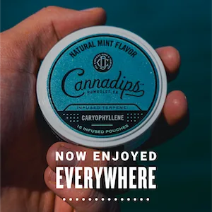 Cannadips Terpene Infused Nicotine-Free Dip Pouches | 4-Can Pack | Made In USA (Variety Pack) - Now Enjoyed Everywhere