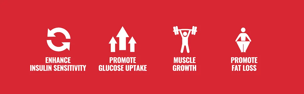 GDA XT Glucose Disposal Agent - Nutrient Partitioning Supplement, Glucose Support w/ GS4, Chromax Chromium, Berberine & More - Powerful Muscle Builder and Body Recomposition Agent - 90 Veggie Capsules - Enhance Insulin Sensitivity, Promote Glucose Uptake, Muscle Growth, and Promote Fat Loss
