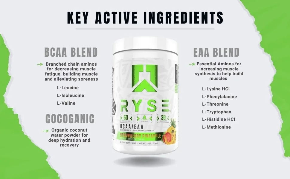 Ryse Core Series BCAA+EAA | Recover, Hydrate, and Build | with 5g Branched Chain Aminos and 3g Essential Aminos | 30 Servings (Strawberry Pineapple) - Ryse BCAA + EAA