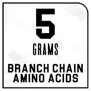 Axe & Sledge Supplements The Grind, Essential Amino Acids, Branched Chain Amino Acids & Electrolytes, Promotes Performance, Recovery, and Hydration, 30 Servings - Branched Chain Amino Acids