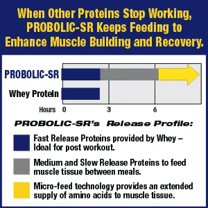 Maximum Human Performance Probolic-SR Sustained Release Protein Powder, 24g Protein, BCAAs, Glutamine, Arginine, Pre-Workout, Post-Workout, Nighttime Protein, 4lbs, 52 Servings, Vanilla Vanilla 52 Servings (Pack of 1) - sustained release muscle feeder anabolic anti-catabolic protein powder drink mix