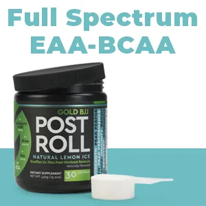 Gold BJJ PostRoll - Jiu Jitsu Post Workout Supplement with EAA & BCAA Essential Amino Acids - Martial Arts Specific Post-Workout Powder (Lemon Ice, 30 Servings) - PostRoll Brazilian Jiu Jitsu Post Workout powder drink electrolyte blend and amino acids EAA BCAA